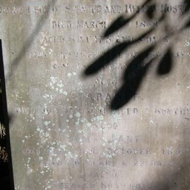 NOSWORTHY Joseph Andrews -1888  :: NOSWORTHY Clarance -1891 :: Amy Jane -1893 :: NOSWORTHY Spencer