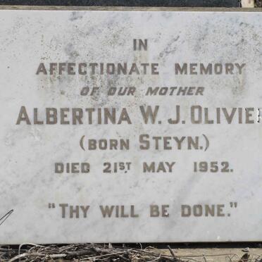 OLIVIER Albertina W.J. nee STEYN -1952