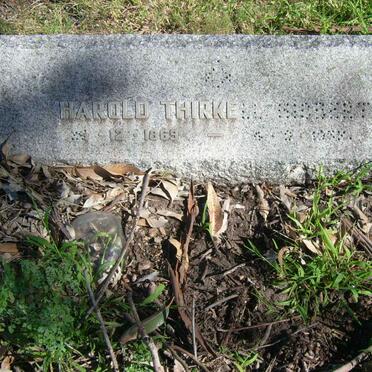 SIEBERT Harold Thirkell 1869 -???