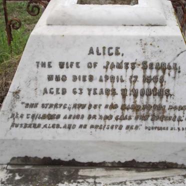 SEARLE Alice  -1905