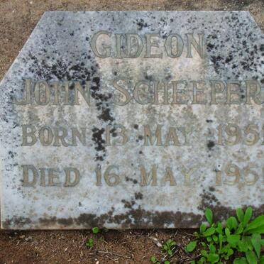 SCHEEPERS  ideon John 1951-1951