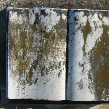 SCHYF P., van der -1929