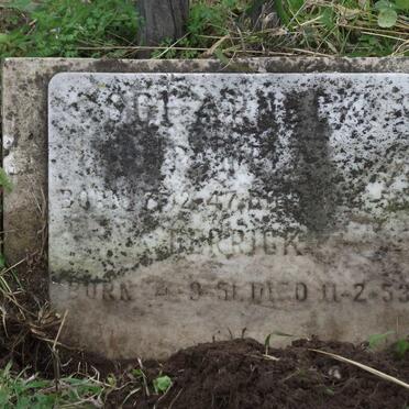 SCHARNECK Pamela 1947-1955 :: SCHARNECK Derrick 1951-1953