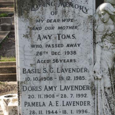 TOMS Amy 