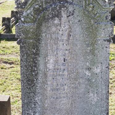 TWYNHAM William David -1926 :: TWYNHAM William John -1923