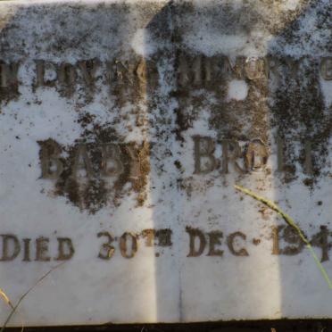 ? Baby Broli-1949