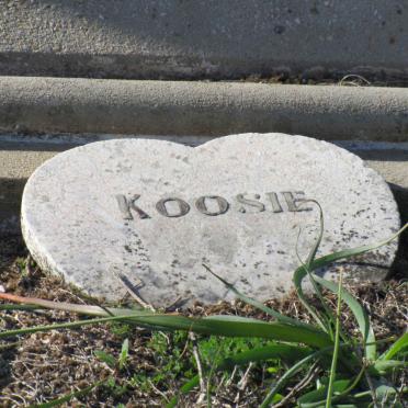 ? Koosie