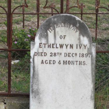 ? Ethelwyn Ivy -1897
