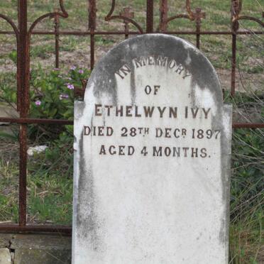 ? Ethelwyn Ivy -1897