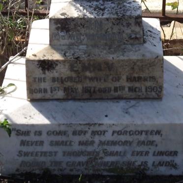 ? Emily 1877 - 1905