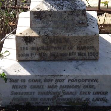 ? Emily 1877 - 1905