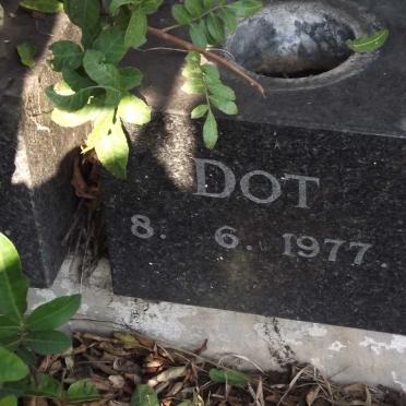 ? Dot -1977