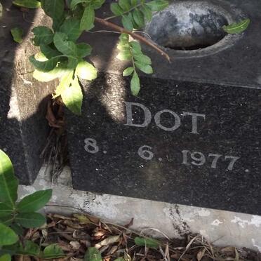 ? Dot -1977