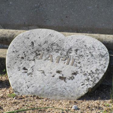 ? Japie