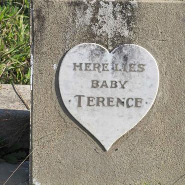 ? Terence