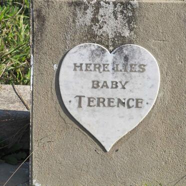 ? Terence