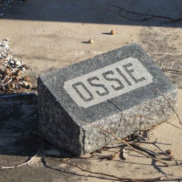 ? Ossie