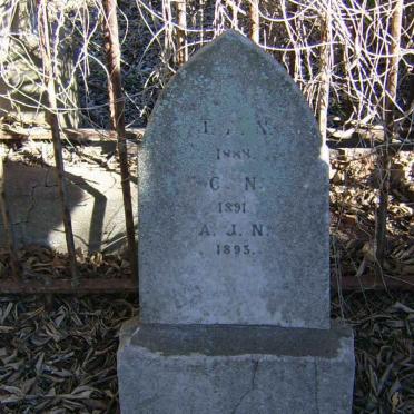 ? J.?.N. -1888 :: C.N. -1891 :: A.J.N. -1893