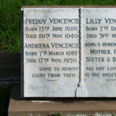VENCENCIE Freddy 1926-1949 :: VENCENCIE Andriena 1922-1950 :: VENCENCIE  Lily 1930-1951
