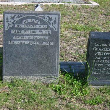 WHITE Charles Henry, Pellow -1869-1967 &amp; Alice -1948 