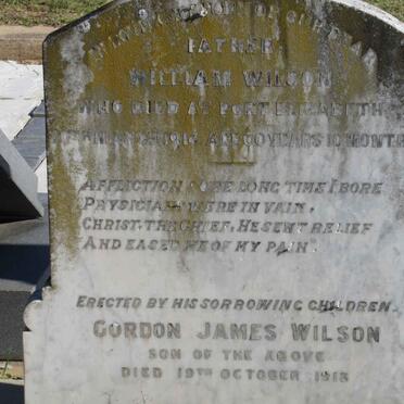 WILSON William -1914 :: WILSON Gordon James -1913