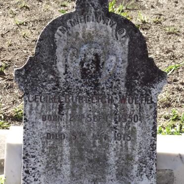 WOLFE Cecilia Burleigh 1850-1915