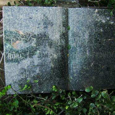 ZIETSMAN C.F. -1??? &amp; C.M.G.J. FRONEMAN -1951