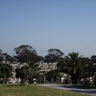 South End Ols Section, Right of Entrance road