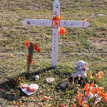 ANTREE Andreo 2004-2019