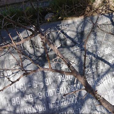 PRINSLOO Klaas -1922 &amp; Issie MEYER nee VOSLOO 1884-1970