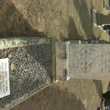 MELMED Meyer -1917 &amp; Dora -1951