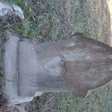 ADONIS David Moses 1946-1948