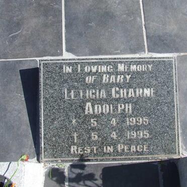 ADOLPH Dudley Norman 1949-1984 :: ADOLPH Leticia Charne 1995-1995