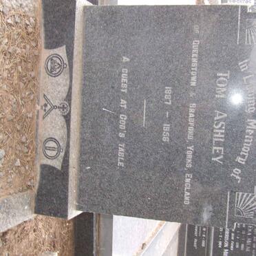 ASHLEY Tom 1887-1956