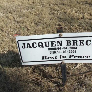 BRECHT Jacquen 2004-2004