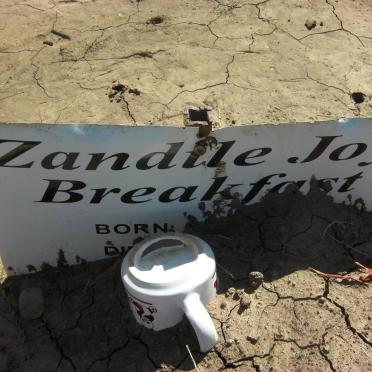 BREAKFAST Zandile Joy