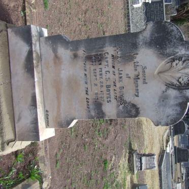 BOYES Eliza Jane 1837-1915