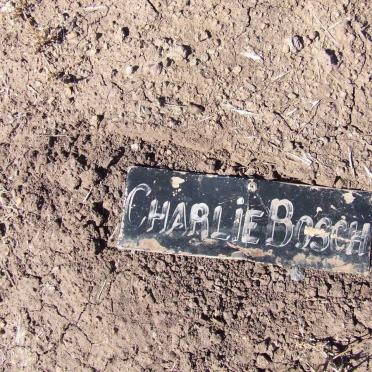 BOSCH Charlie