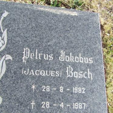 BOSCH Petrus Jakobus 1982-1987