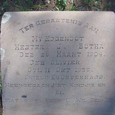 BOTHA Hester J. nee OLIVIER 1904-1936