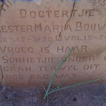 BOUWER Vanne