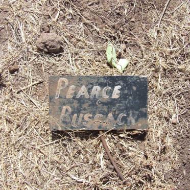 BUSSACK Pearce