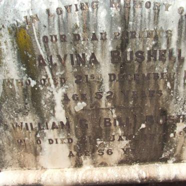 BUSHELL William G. -1924 &amp; Alvina -1925