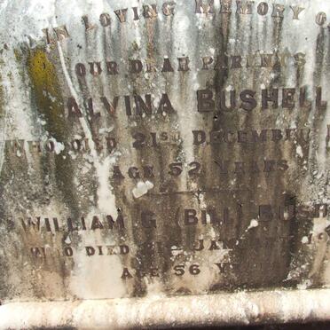 BUSHELL William G. -1924 &amp; Alvina -1925