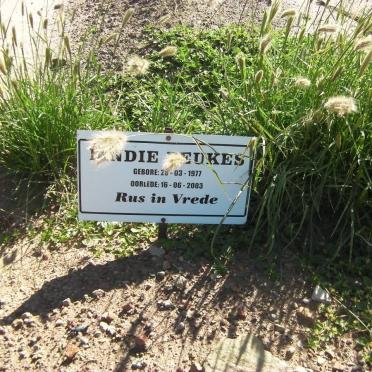 BEUKES ??ndie 1977-2003