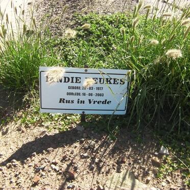 BEUKES ??ndie 1977-2003