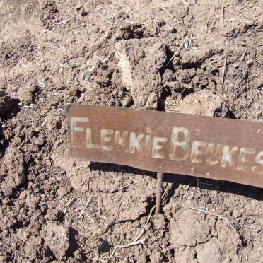 BEUKES Flekkie