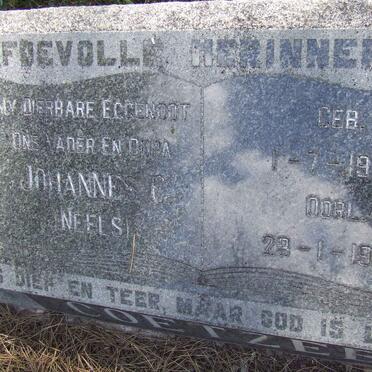 COETZEE Johannes C. 1903-1979 