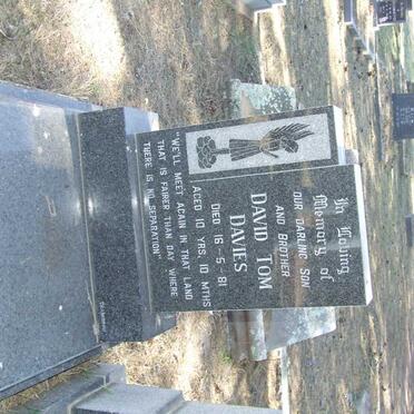 DAVIES David Tom -1981