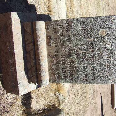 DAWS Lucy Lydia :: DAWS Harry -1918.